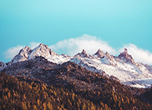 开云体育官方网站：引领你的体育生活新纪元