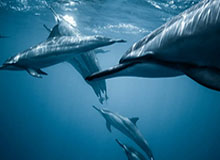 键盘侠|乔丹带队很难不赢球！伦纳德现在是联盟前六&amp;健康能进一阵